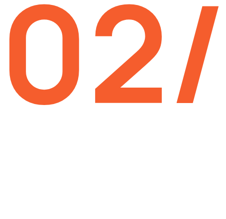 Website Development